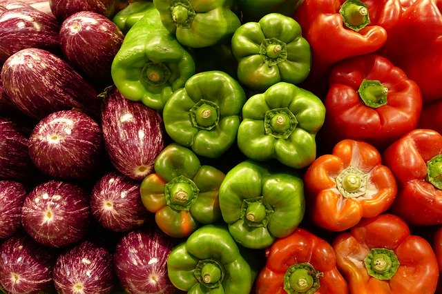 Fialové baklažány, zelené a červené papriky.jpg